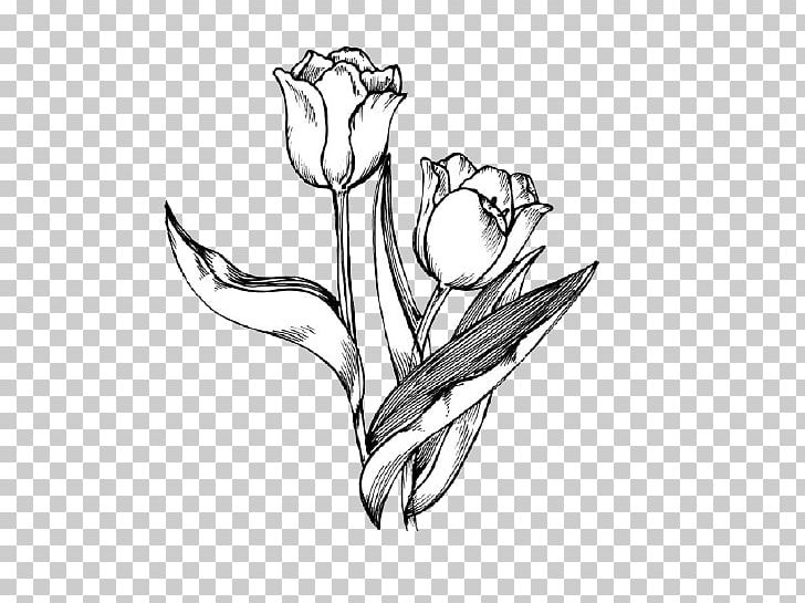 Tulip Drawing Flower PNG, Clipart, Arm, Art, Artwork, Black And White, Body Jewelry Free PNG Download