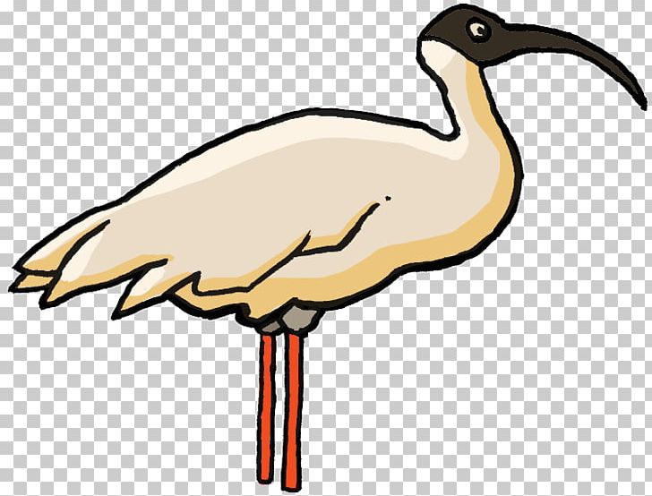 Water Bird Crane PNG, Clipart, Animal Figure, Animals, Artwork, Aurasma, Beak Free PNG Download