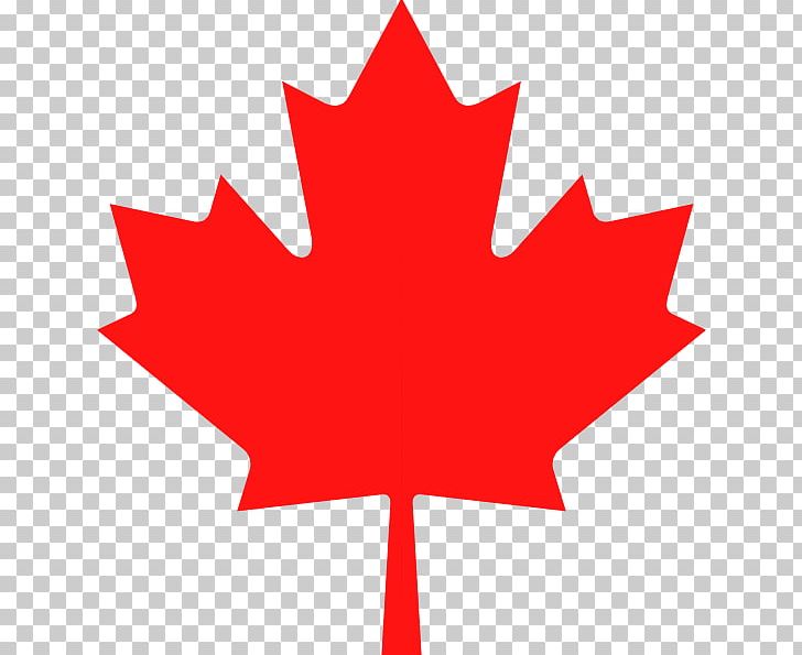 Flag Of Canada Canadian Gold Maple Leaf Stock.xchng PNG, Clipart, Canada, Canadian Gold Maple Leaf, Computer Icons, Flag Of Canada, Flower Free PNG Download