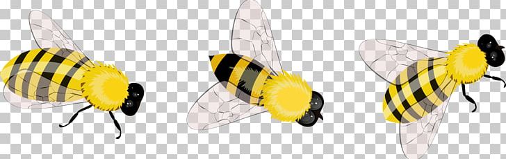 Insect Apidae PNG, Clipart, Apidae, Bee, Download, Encapsulated Postscript, Fly Free PNG Download