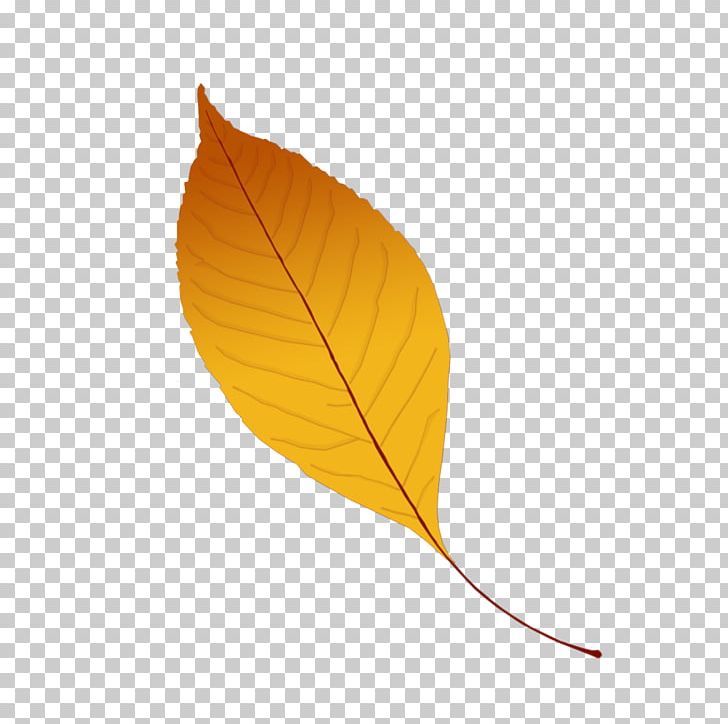 Leaf Png, Clipart, Leaf, Plant Free Png Download