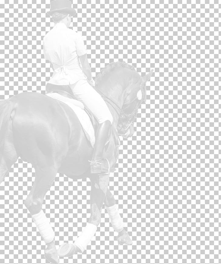 Mane Mustang Stallion Bridle Pony PNG, Clipart, Black And White, Bridle, Dressage, Equestrian, Equestrian Sport Free PNG Download