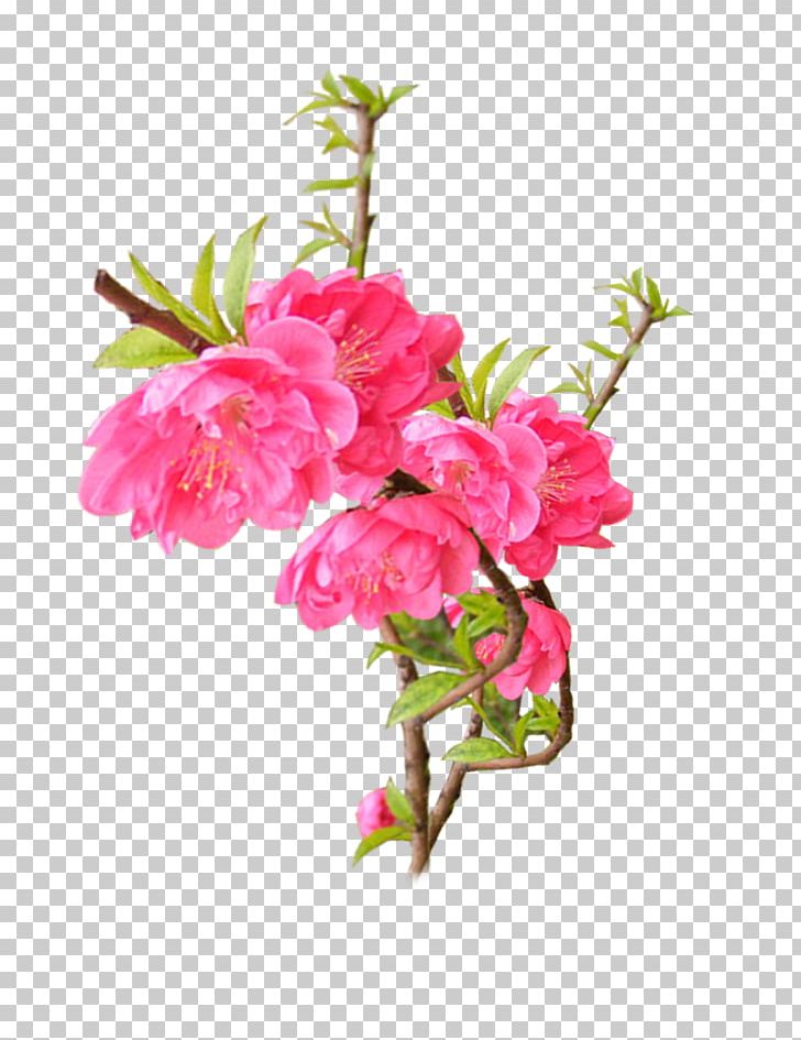 Computer File PNG, Clipart, Artificial Flower, Branch, Creative Ads, Creative Artwork, Creative Background Free PNG Download