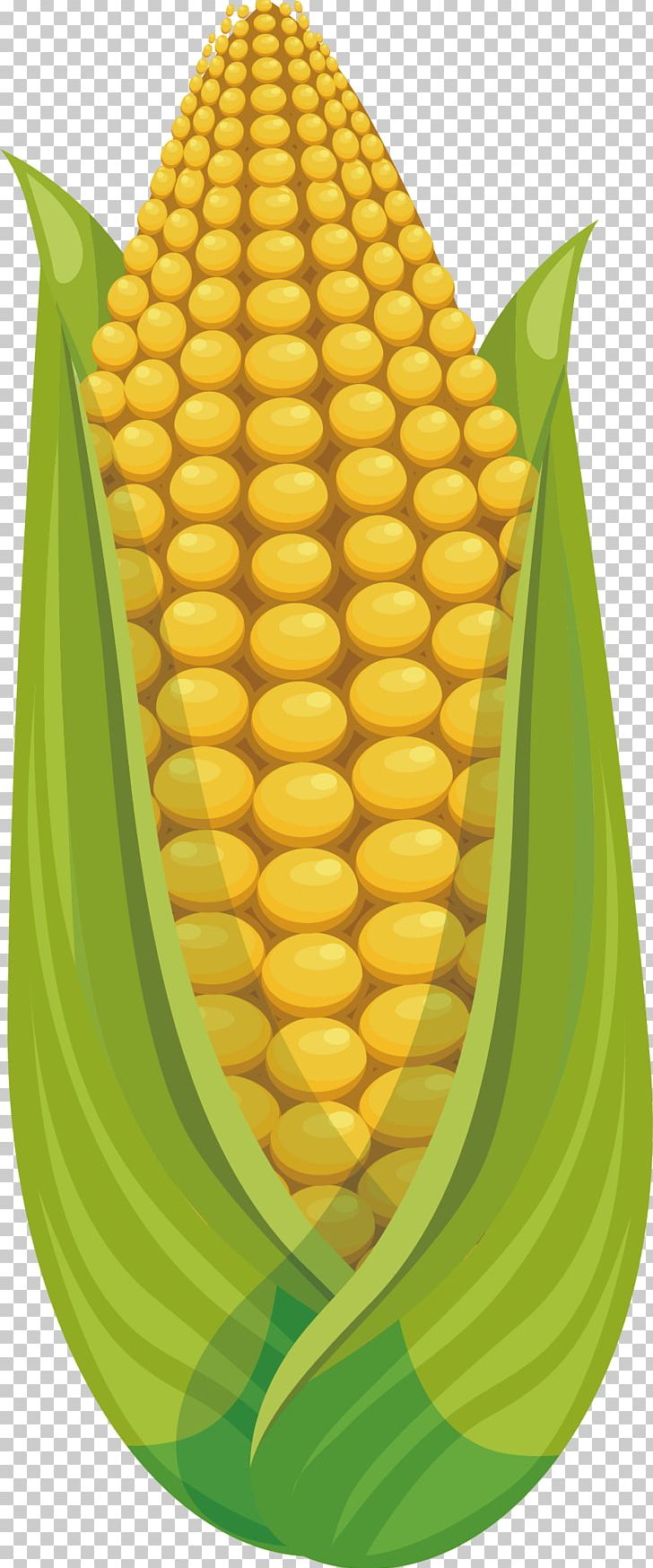 Corn On The Cob Maize Fruit Sweet Corn PNG, Clipart, Auglis, Cartoon Corn, Commodity, Corn, Corn Cartoon Free PNG Download