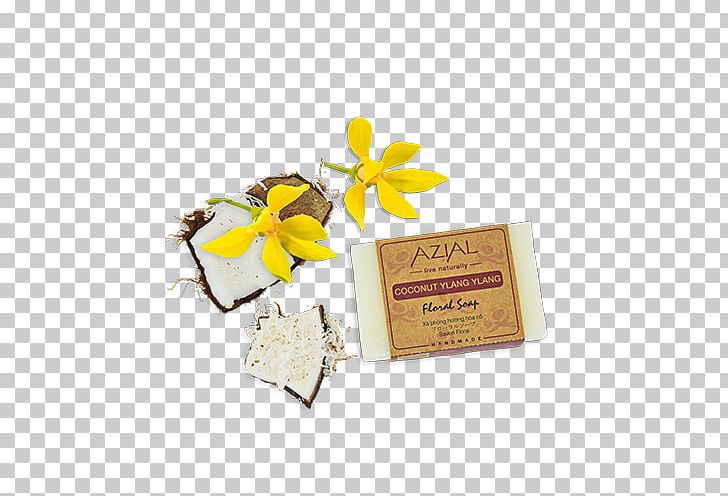 Flavor Flower Gift PNG, Clipart, Flavor, Flower, Gift, Nature, Ylangylang Free PNG Download