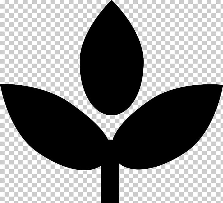 Leaf Flowering Plant Tree PNG, Clipart, Black And White, Colonization, Flower, Flowering Plant, Leaf Free PNG Download
