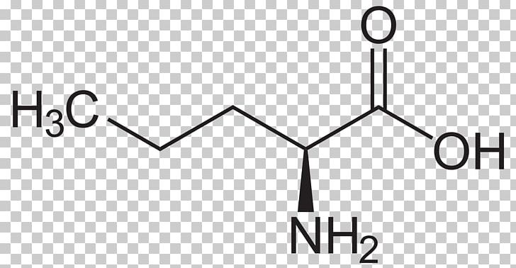Methionine Isoleucine Essential Amino Acid PNG, Clipart, Acid, Amino, Amino Acid, Amino Acids, Angle Free PNG Download