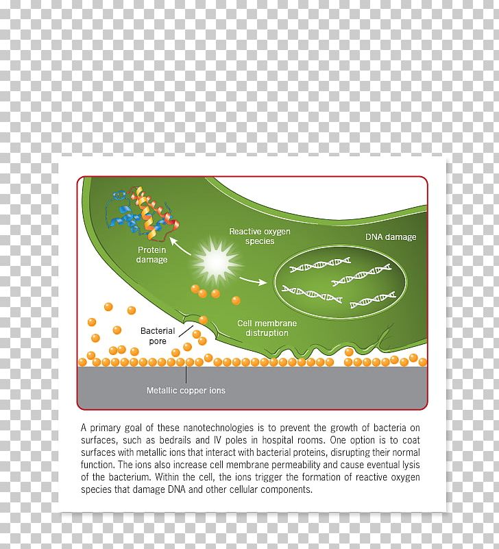 Brand Font PNG, Clipart, Advertising, Brand, Grass, Green, Info Graphics Free PNG Download