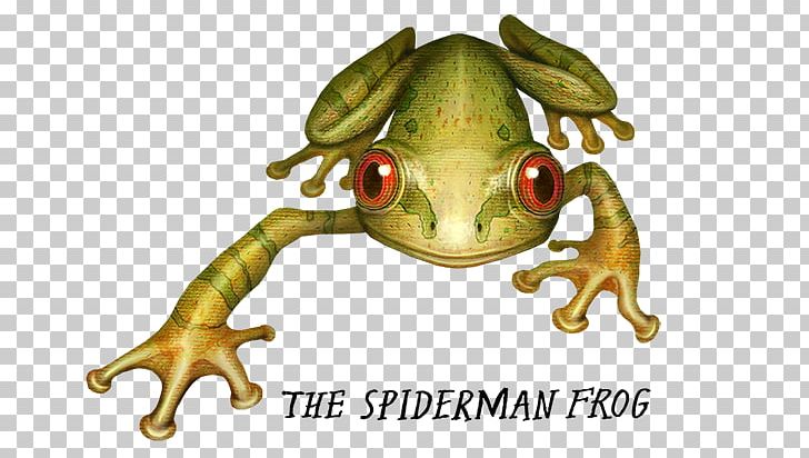 True Frog Spider-Man Crazy Monster Frogs Amphibians PNG, Clipart, Amphibian, Amphibians, Animal, Animals, Art Free PNG Download