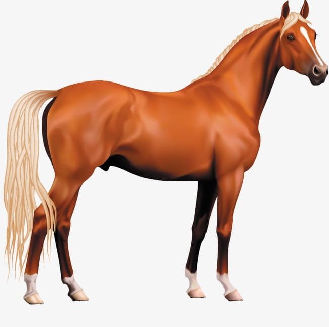 Animal Horse PNG, Clipart, Animal, Animal Clipart, Animal Clipart, Brown, Brown Horse Free PNG Download