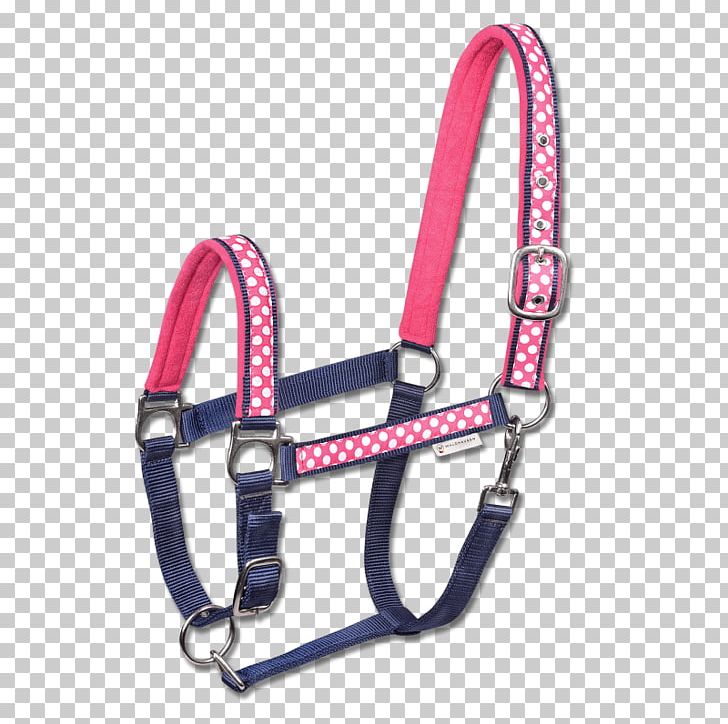 Horse Halter Cabezada Bridle Muserola PNG, Clipart, Animals, Bridle, Cabezada, Climbing Harness, Domestic Animal Free PNG Download