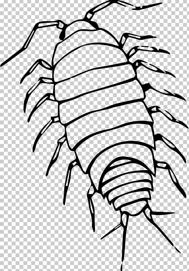 Pill Bugs Black And White Roly-poly PNG, Clipart, Animal, Artwork, Black And White, Branch, Bug Free PNG Download