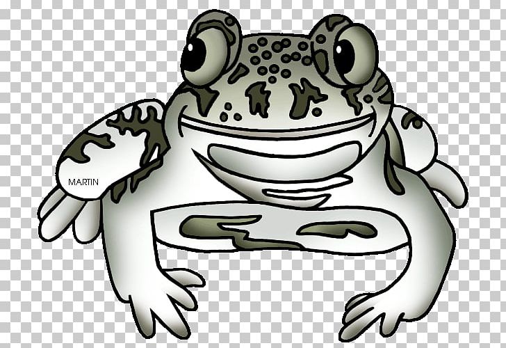 Toad True Frog Tree Frog PNG, Clipart, Amphibian, Animals, Artwork, Black And White, Carnivora Free PNG Download