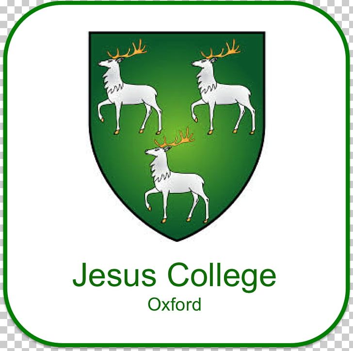 Harris Manchester College Exeter College Corpus Christi College PNG, Clipart, Area, Brand, Buildings Of Jesus College Oxford, College, Corpus Christi College Oxford Free PNG Download