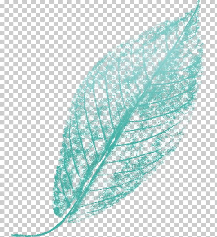 Leaf Turquoise Line Feather PNG, Clipart, Feather, Green Leaf, Leaf, Line, Organism Free PNG Download