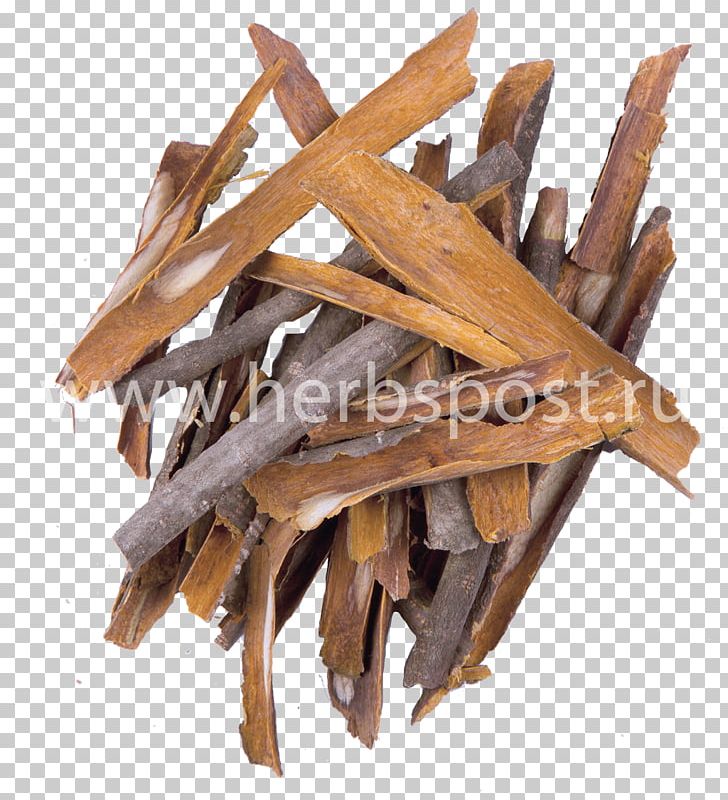 Frangula Herbaceous Plant Bark Laxative Medicinal Plants PNG, Clipart, Alder Buckthorn, Bark, Field Horsetail, Flax, Frangula Free PNG Download