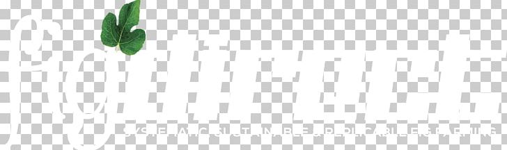 Leaf Logo Desktop PNG, Clipart, Closeup, Closeup, Computer, Computer Wallpaper, Desktop Wallpaper Free PNG Download