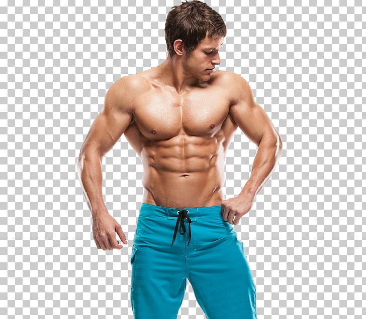 Abdominal Muscles PNG Transparent Images Free Download