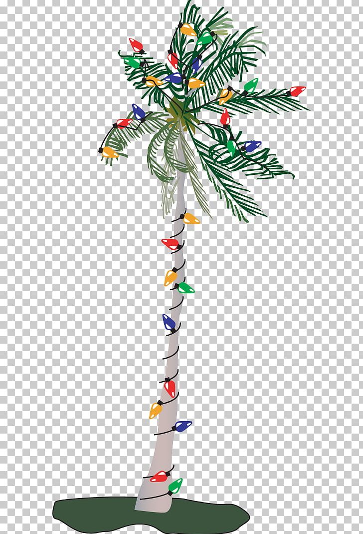 Adonidia Christmas Tree PNG, Clipart, Adonidia, Arecaceae, Branch, Cartoon, Cartoon Palm Tree Images Free PNG Download