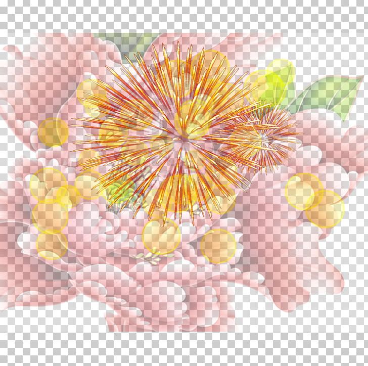 Beijing Moutan Peony PNG, Clipart, Blossom, Chrysanths, Closeup, Decorative, Decorative Fireworks Free PNG Download