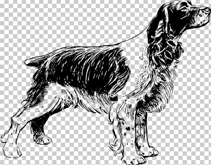 English Springer Spaniel English Cocker Spaniel Welsh Springer Spaniel Puppy PNG, Clipart, Animals, Black And White, Breed, Breed Standard, Carnivoran Free PNG Download