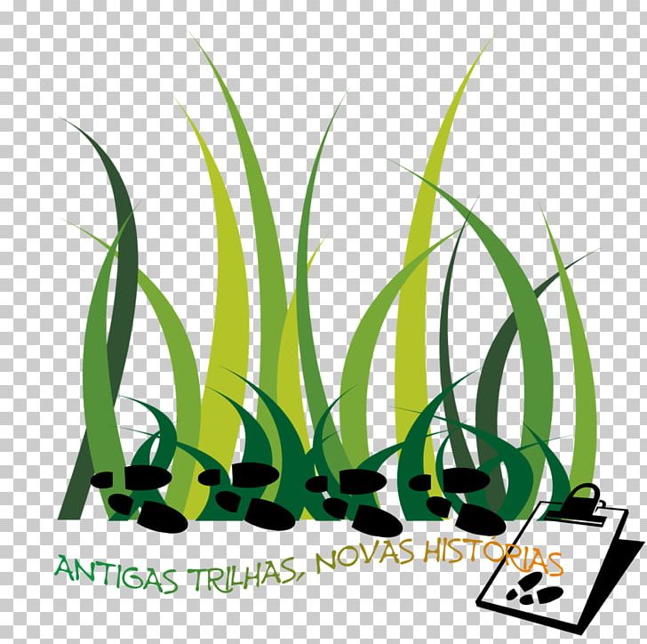 Green Grasses Surgeon Plant Stem PNG, Clipart, Commodity, Grass, Grasses, Grass Family, Green Free PNG Download