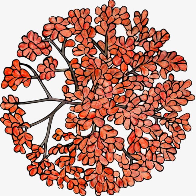 A Top View Of A Hand-painted Tree PNG, Clipart, Autumn, Decoration, Diagram, Graphics, Hand Free PNG Download