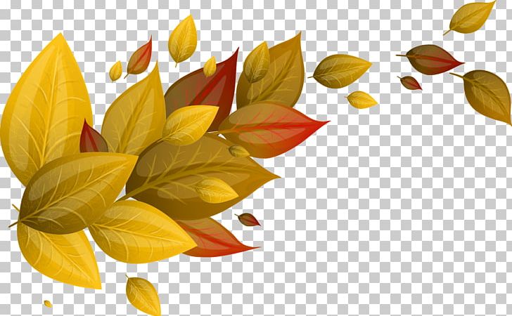 Autumn Leaf Euclidean Yellow PNG, Clipart, Autumn, Deciduous, Decorative Patterns, Defoliation, Fall Free PNG Download