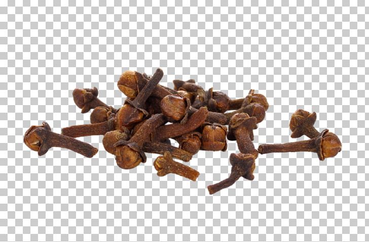 Spice Clove Syzygium Aromaticum Food Ingredient PNG, Clipart, Allspice, Bay Leaf, Beer, Chinese Cinnamon, Clove Free PNG Download