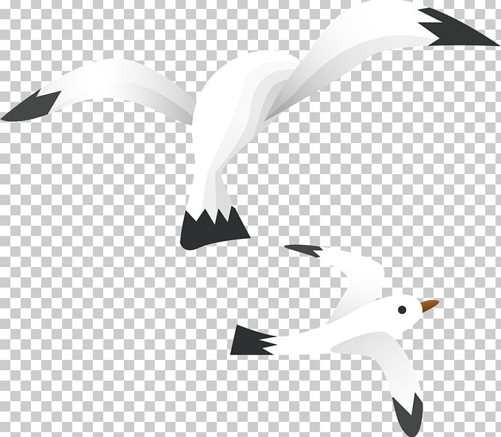 Bird PNG, Clipart, Albom, Animal, Animals, Animation, Beak Free PNG Download