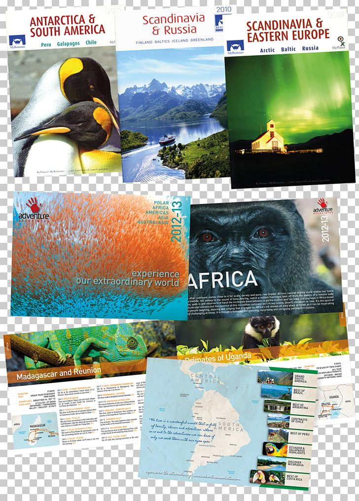 Graphic Design Advertising Poster Adventure Travel PNG, Clipart, Adventure, Adventure Travel, Advertising, Brand, Brochure Free PNG Download
