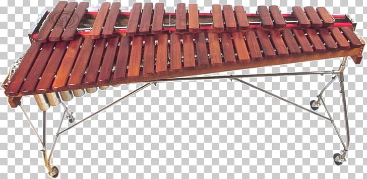 Xylophone Pitched Percussion Instrument Musical Instruments Marimba PNG, Clipart,  Free PNG Download
