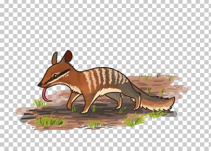 Numbat Cartoon Canidae Drawing Quoll PNG, Clipart, Animal, Animal Figure, Animation, Art, Canidae Free PNG Download