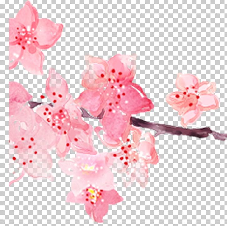 Pink Cherry Blossom Watercolor Painting PNG, Clipart, Blossoms, Cerasus, Cherry, Cherry Blossoms, Cut Flowers Free PNG Download