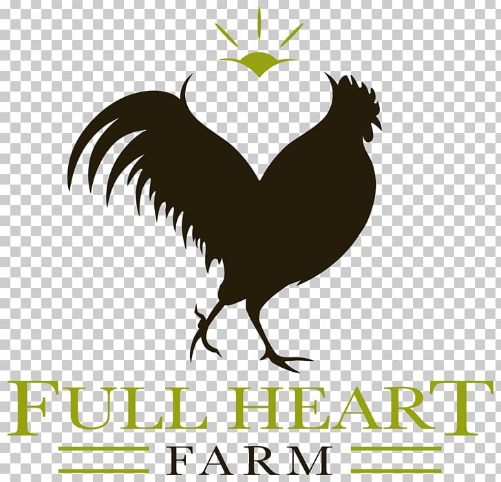 Poultry Farming Rooster Rhode Island Red Logo PNG, Clipart, Animals, Beak, Bird, Black And White, Chicken Free PNG Download