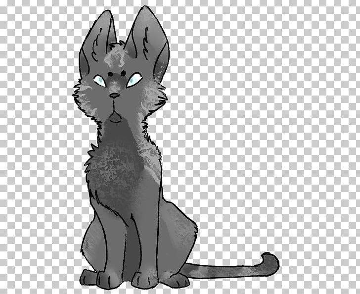 Whiskers Kitten Red Fox Cat Dog PNG, Clipart, Animals, Black And White, Canidae, Carnivoran, Cartoon Free PNG Download