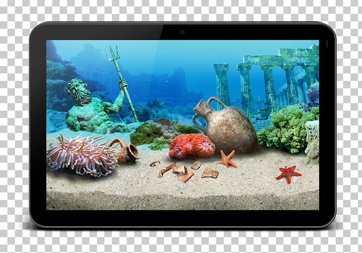 Coral Reef Fish Aquariums Ecosystem Marine Biology PNG, Clipart, Android, App, Aquarium, Aquariums, Aquatica Free PNG Download
