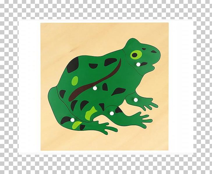 Jigsaw Puzzles Montessori Education Pedagogy Montessori Sensorial Materials PNG, Clipart, Child, Education, Educational Toys, Fauna, Frog Free PNG Download