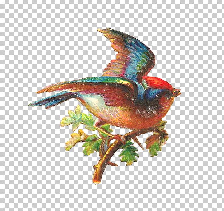 Bird Oak PNG, Clipart, Acorn, Beak, Bird, Bird Nest, Branch Free PNG Download