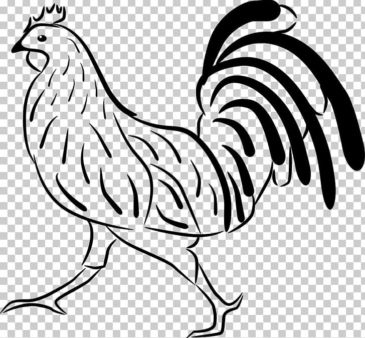 Chicken Rooster Drawing PNG, Clipart, Animal Figure, Animals, Beak, Bird, Black And White Free PNG Download