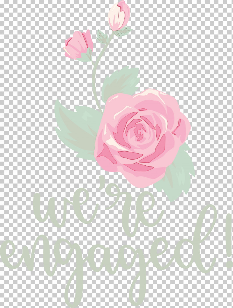 Floral Design PNG, Clipart, Cabbage Rose, Cut Flowers, Floral Design, Flower, Garden Free PNG Download