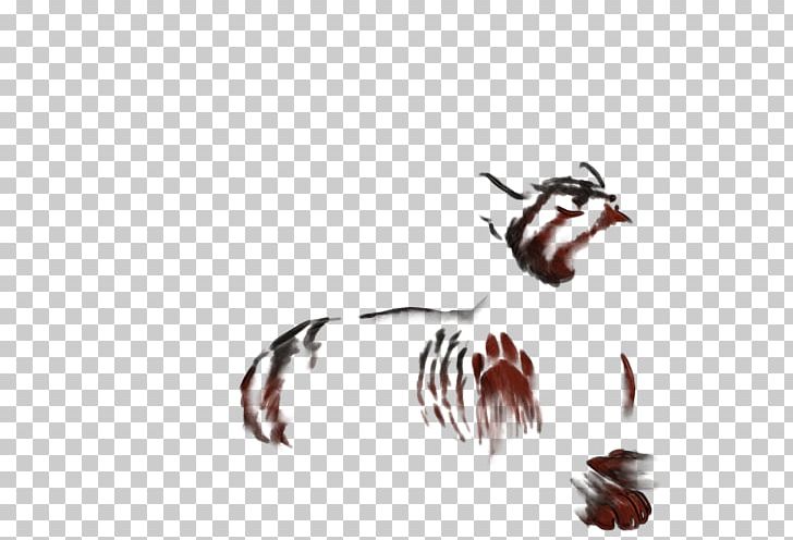 Insect Cat Animal Mammal Invertebrate PNG, Clipart, Animal, Animals, Carnivora, Carnivoran, Cartoon Free PNG Download