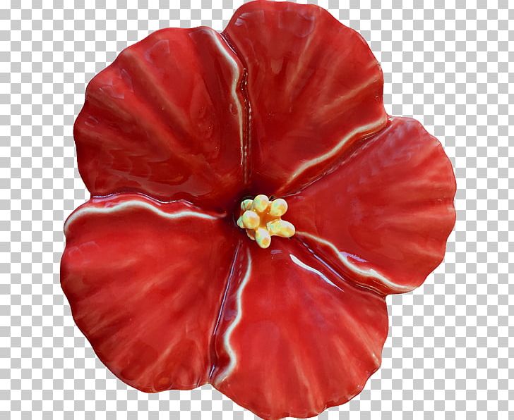 Rosemallows Steiner Ceramics Flower Pottery PNG, Clipart, Art, Artist, Ceramic, Coquelicot, Craft Free PNG Download