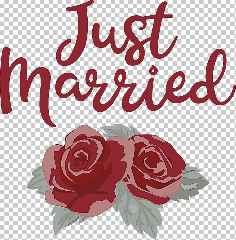 Just Married Wedding PNG, Clipart, Childrens Film, Cut Flowers, Floral Design, Flower, Garden Free PNG Download