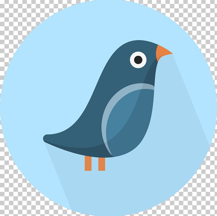 Bird Computer Icons PNG, Clipart, Animal, Animals, Beak, Bird, Bird Flight Free PNG Download