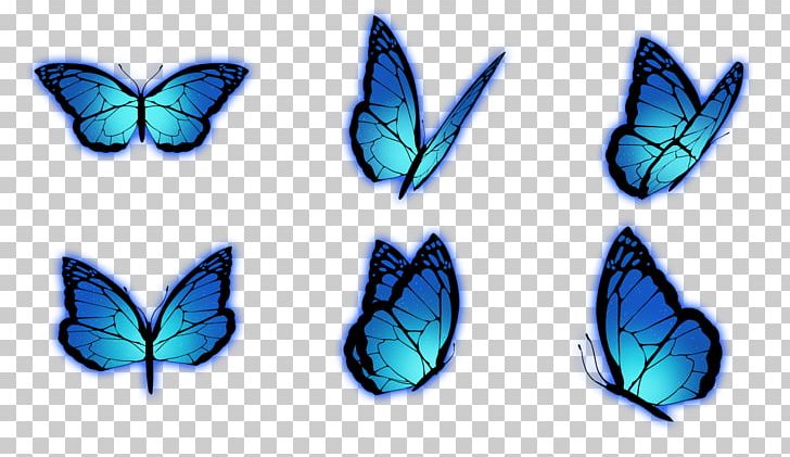 Brush-footed Butterflies No Yo Ta Wo PNG, Clipart, Brush Footed Butterfly, Butterfly, Com, Comet, Gal Free PNG Download