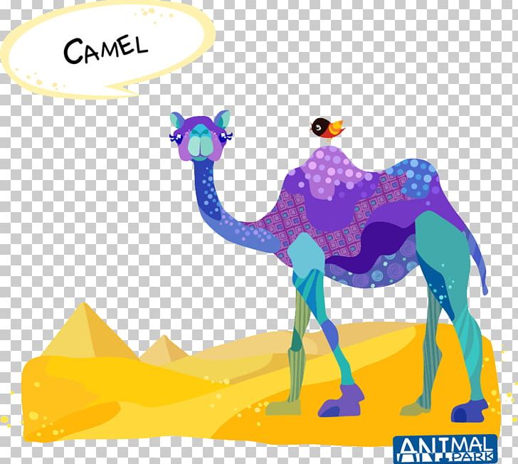 Dromedary Bactrian Camel Drawing Cartoon PNG, Clipart, Animals, Arabian Camel, Arizona Desert, Art, Bactrian Camel Free PNG Download