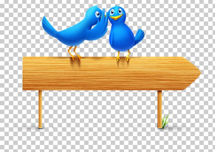 Social Media Motivation Marketing Love Customer PNG, Clipart, Beak, Bird, Customer, Furniture, Gift Free PNG Download