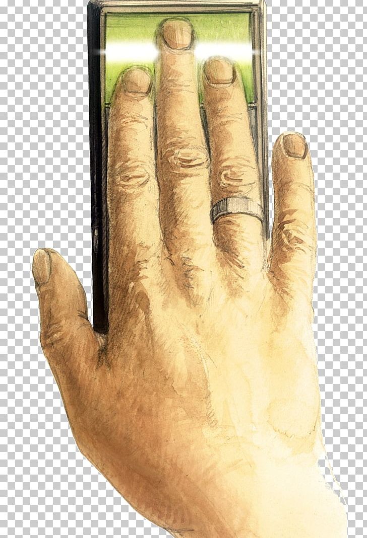 Thumb Hand Model PNG, Clipart, Finger, Hand, Hand Model, Photography, Radio Fingerprinting Free PNG Download