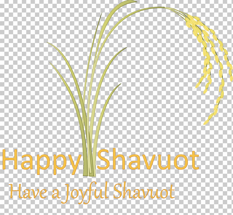 Text Plant Grass Family Grass Font PNG, Clipart, Grass, Grass Family, Happy Shavuot, Logo, Paint Free PNG Download